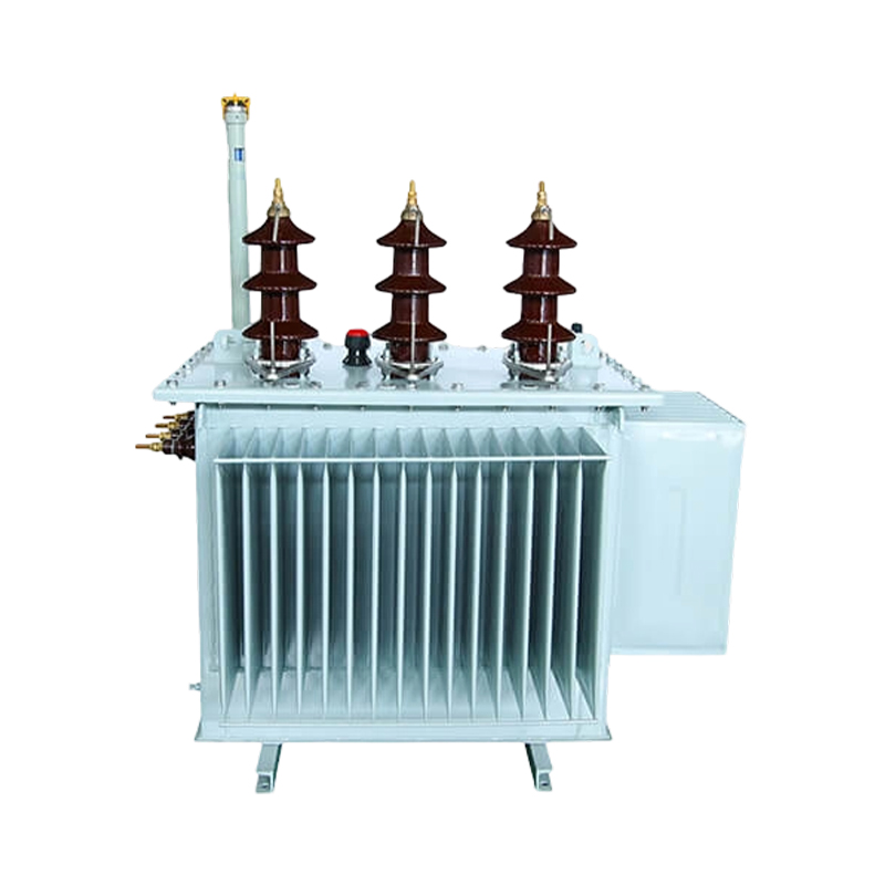 Transformateur de distribution immergé dans l'huile de 100 kVA
